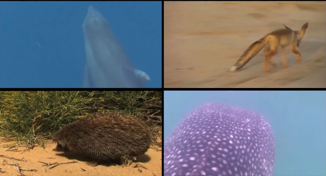 PA尊龙凯时 - 人生就是搏!