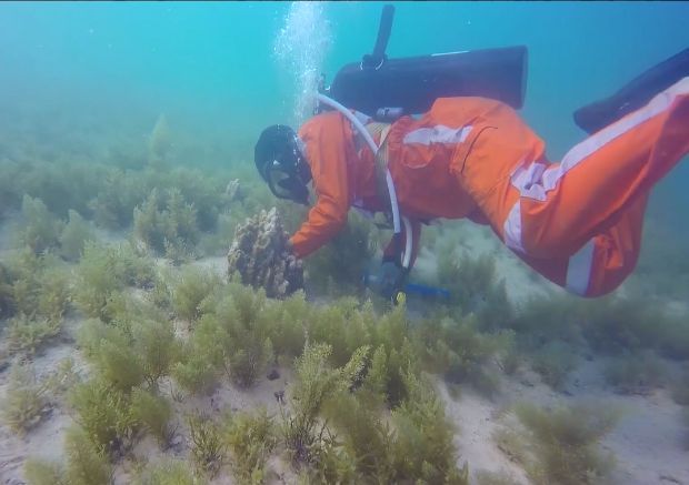 PA尊龙凯时 - 人生就是搏!