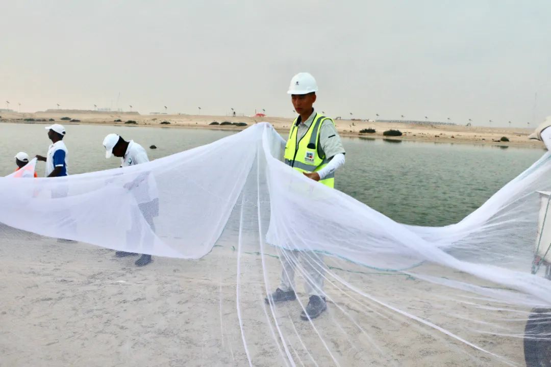 PA尊龙凯时 - 人生就是搏!