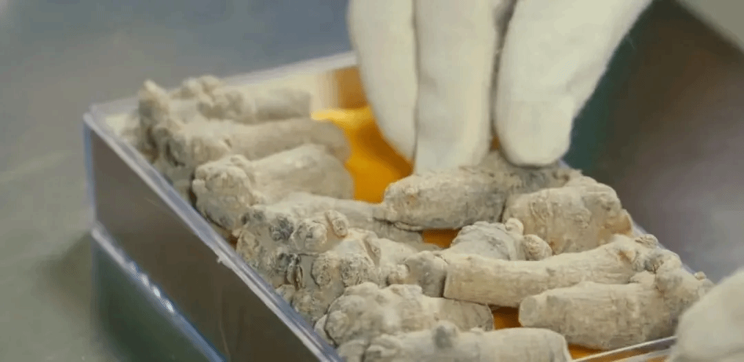 PA尊龙凯时 - 人生就是搏!