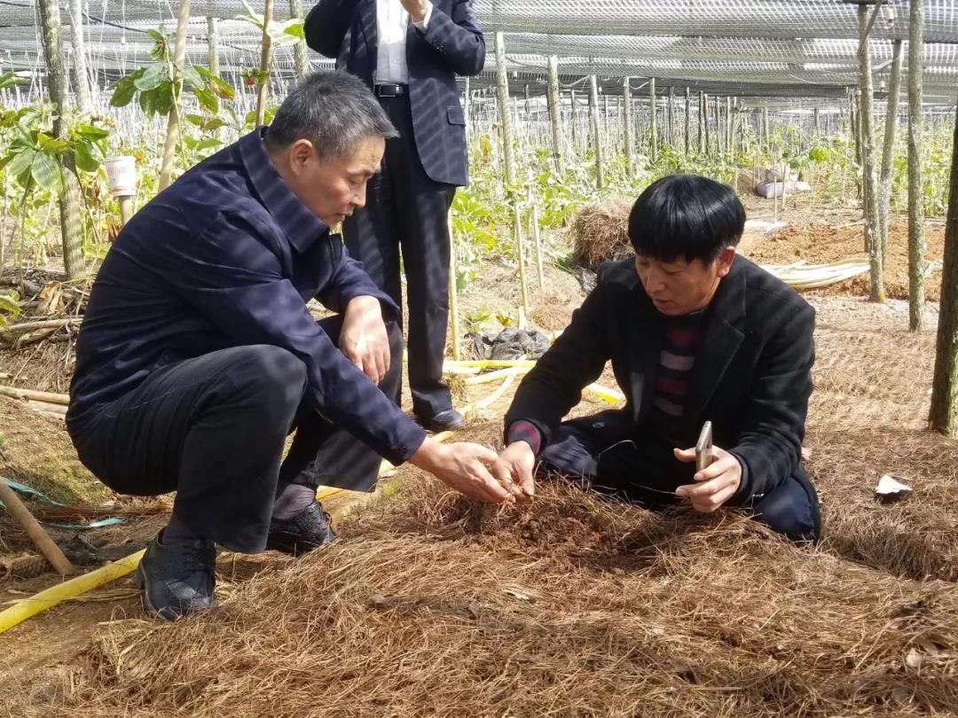 PA尊龙凯时 - 人生就是搏!