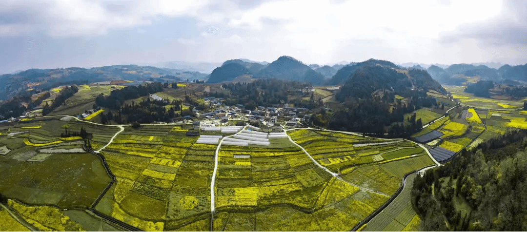 PA尊龙凯时 - 人生就是搏!