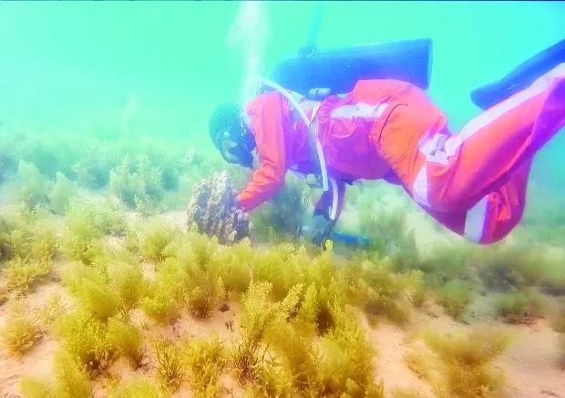 PA尊龙凯时 - 人生就是搏!