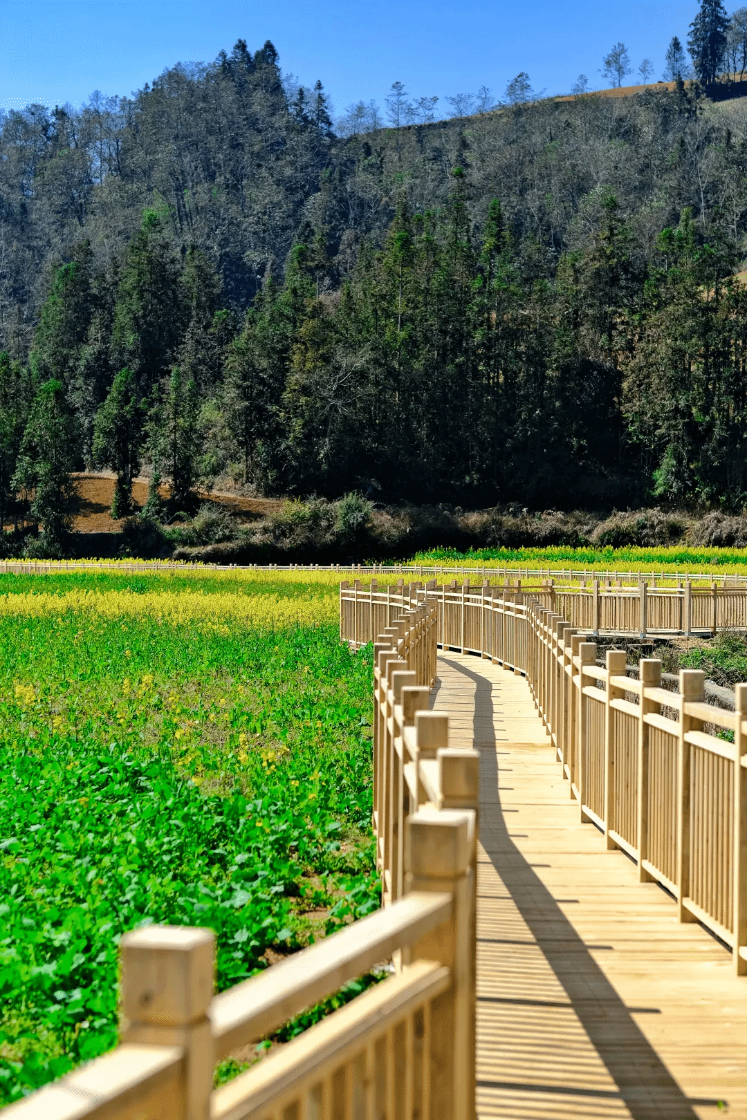 PA尊龙凯时 - 人生就是搏!