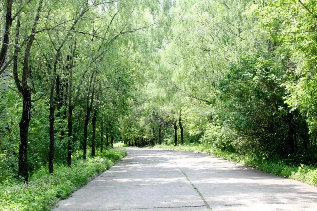 PA尊龙凯时 - 人生就是搏!