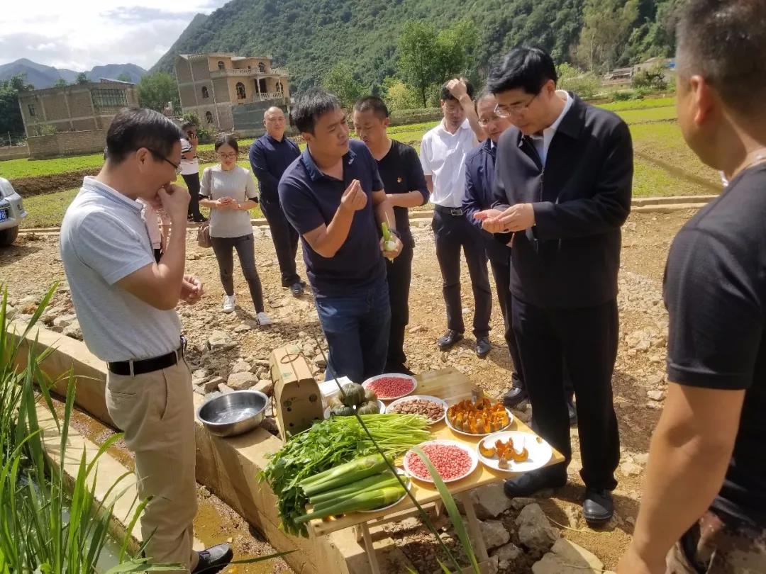 PA尊龙凯时 - 人生就是搏!