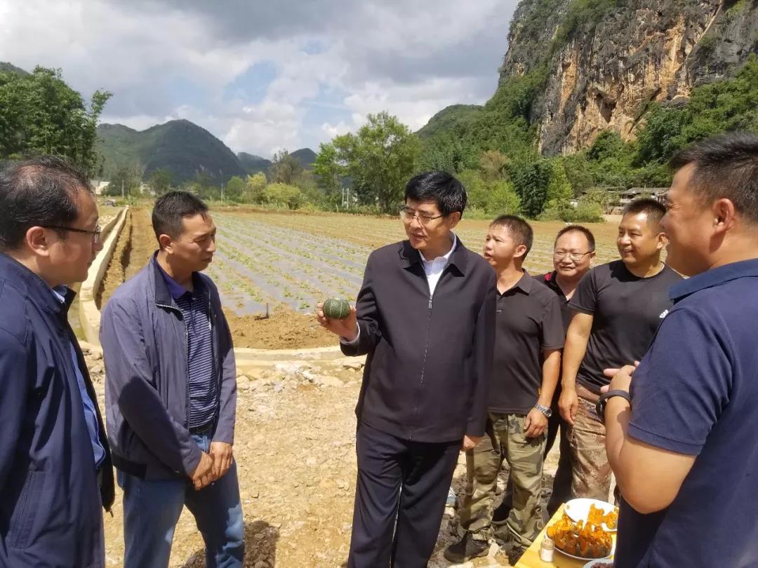 PA尊龙凯时 - 人生就是搏!