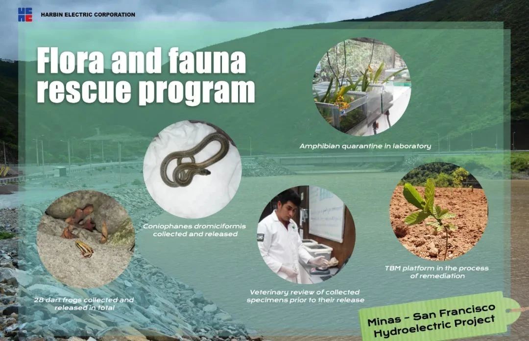 PA尊龙凯时 - 人生就是搏!