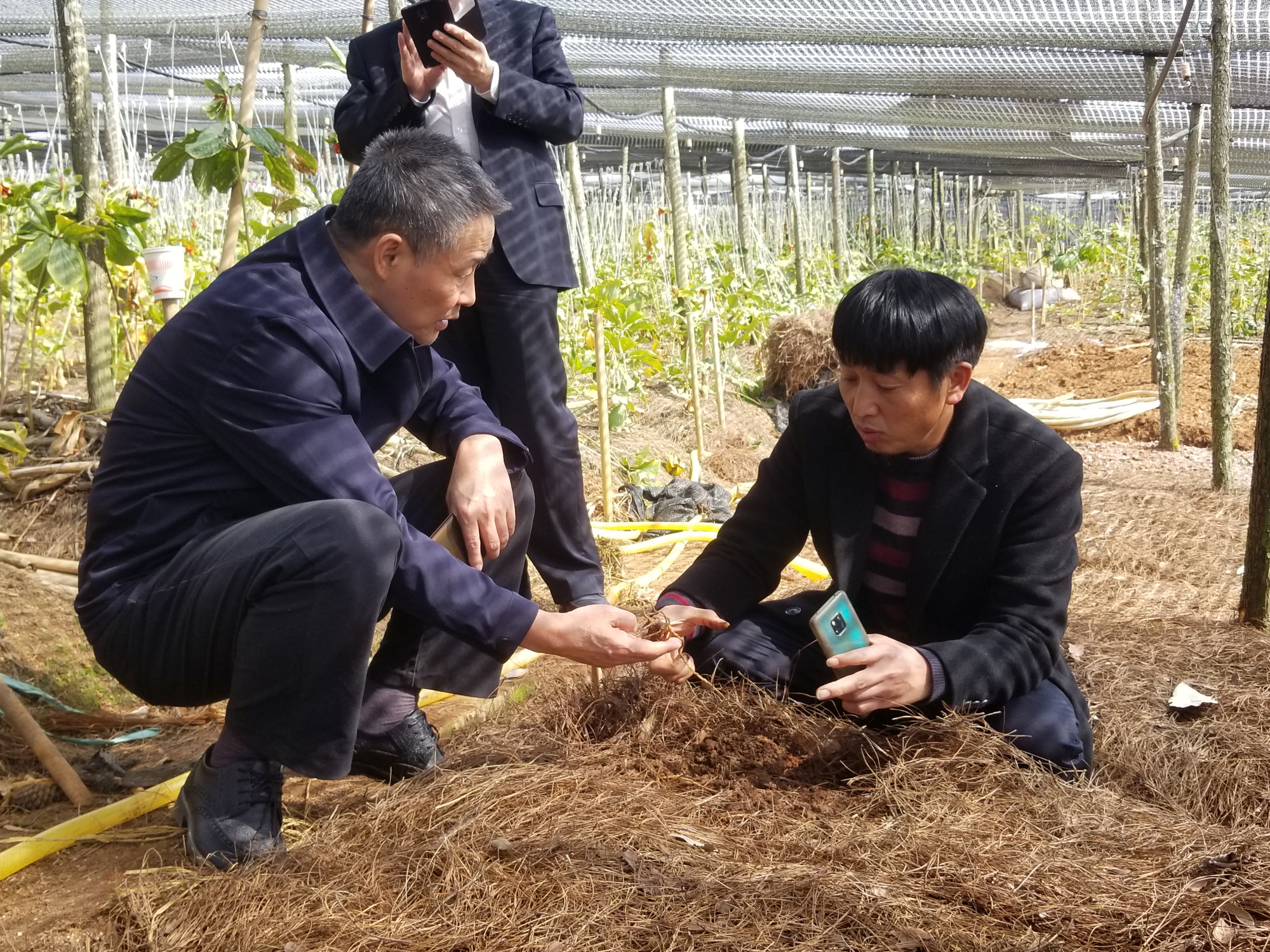 PA尊龙凯时 - 人生就是搏!