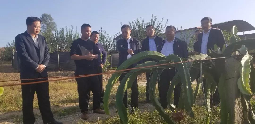 PA尊龙凯时 - 人生就是搏!