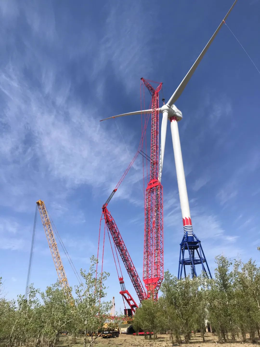 PA尊龙凯时 - 人生就是搏!