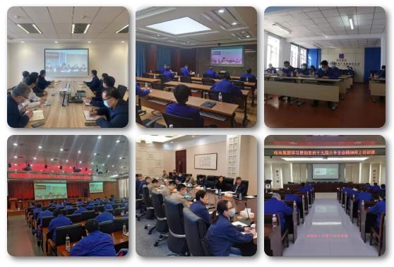 PA尊龙凯时 - 人生就是搏!