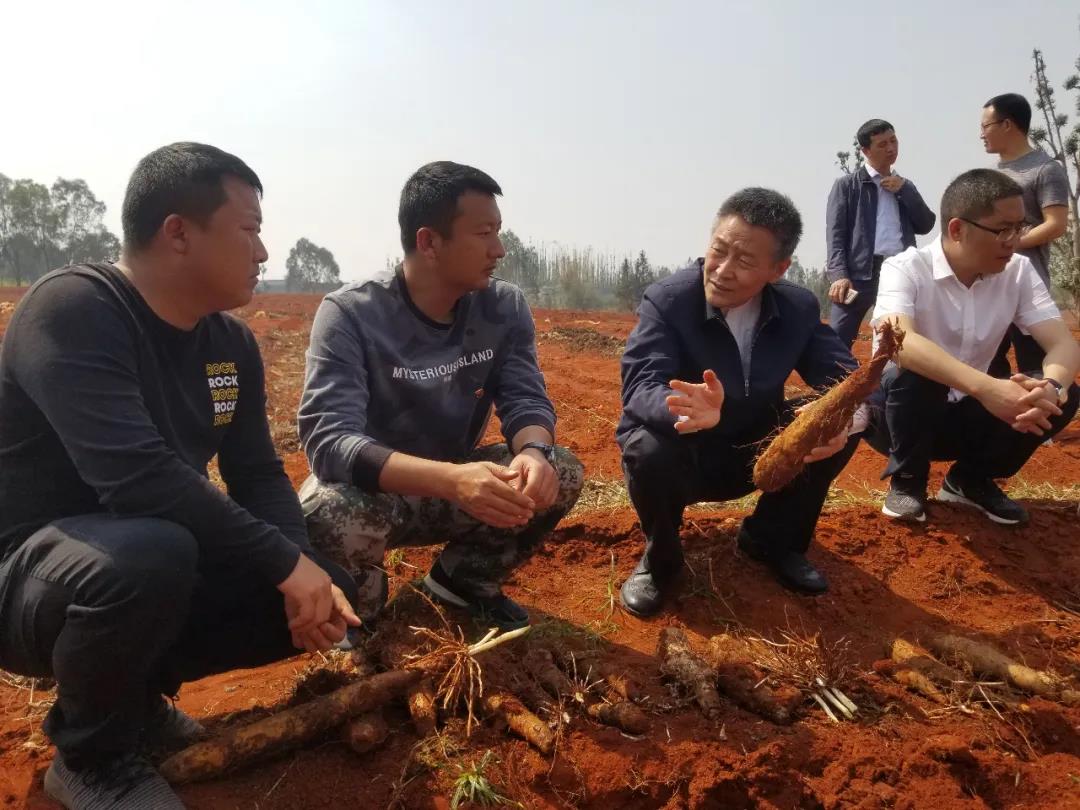 PA尊龙凯时 - 人生就是搏!