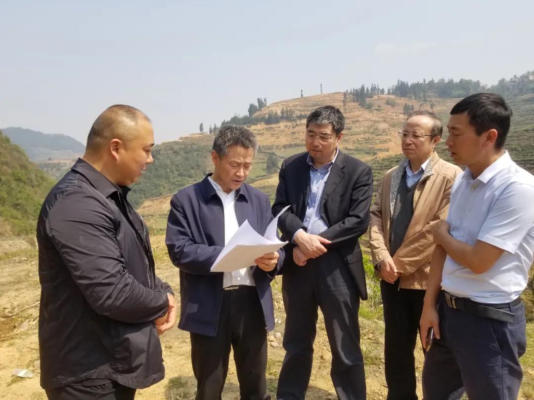 PA尊龙凯时 - 人生就是搏!