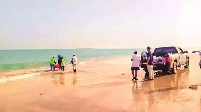 PA尊龙凯时 - 人生就是搏!